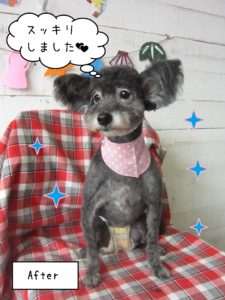 仕上がりミックス