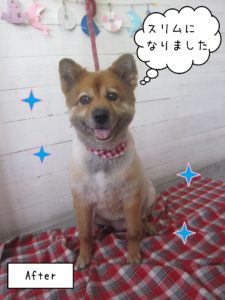 仕上がりミックス