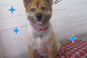 仕上がりミックス