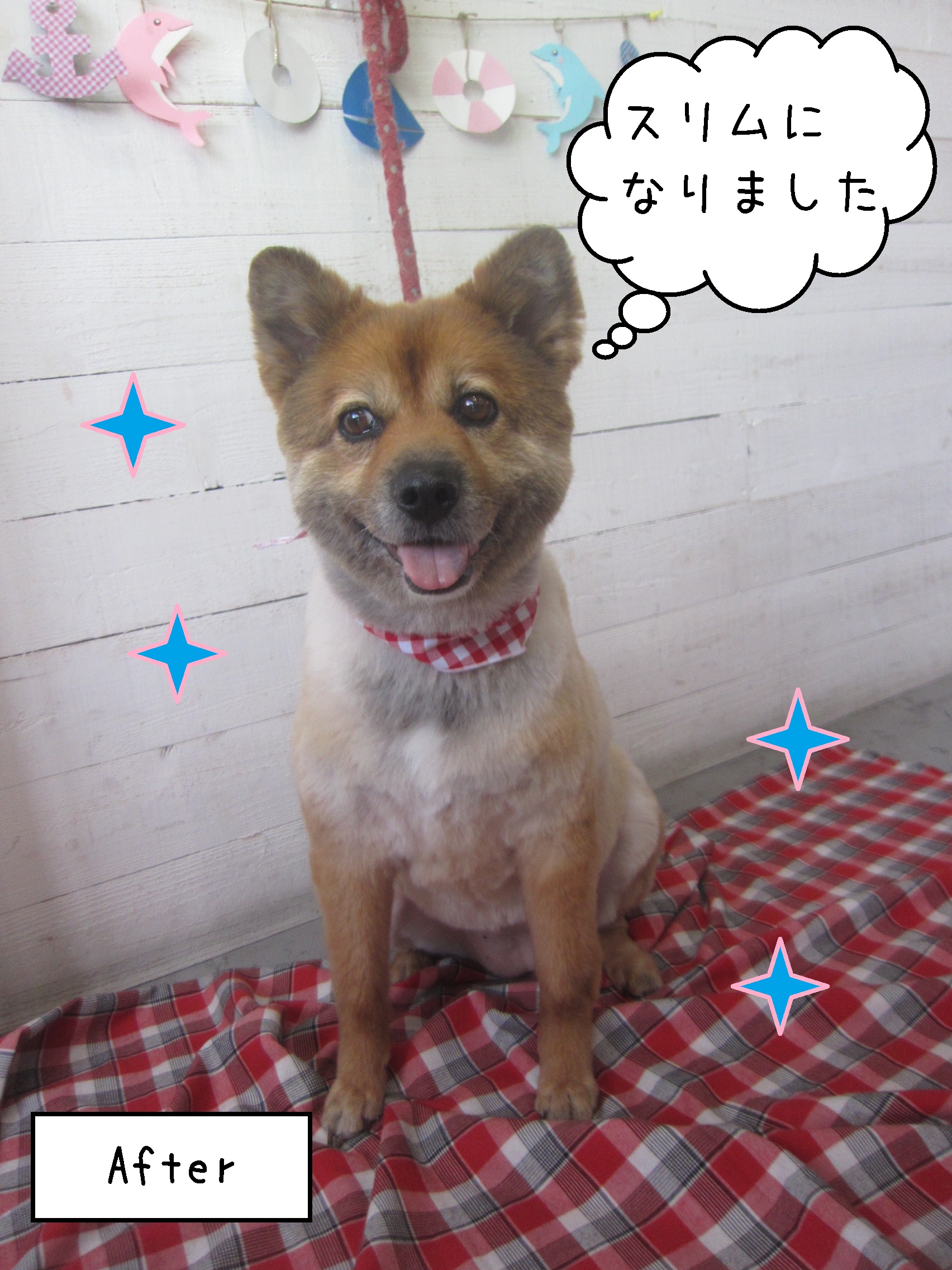 仕上がりミックス