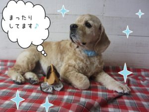 仕上がりAコック