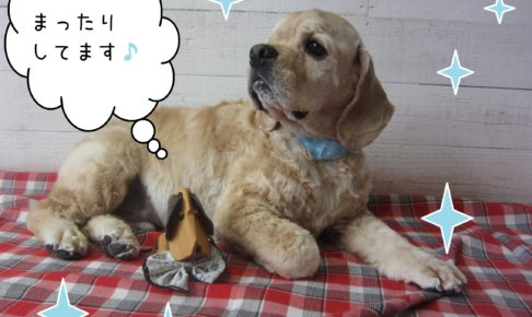 仕上がりAコック