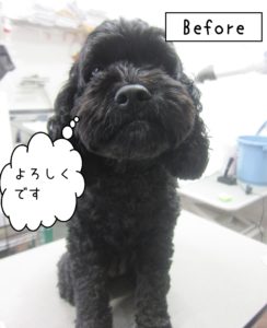 よろしくミックス