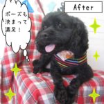 仕上がりミックス