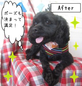 仕上がりミックス