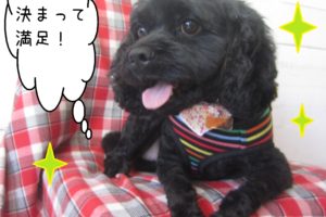 仕上がりミックス