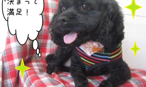 仕上がりミックス