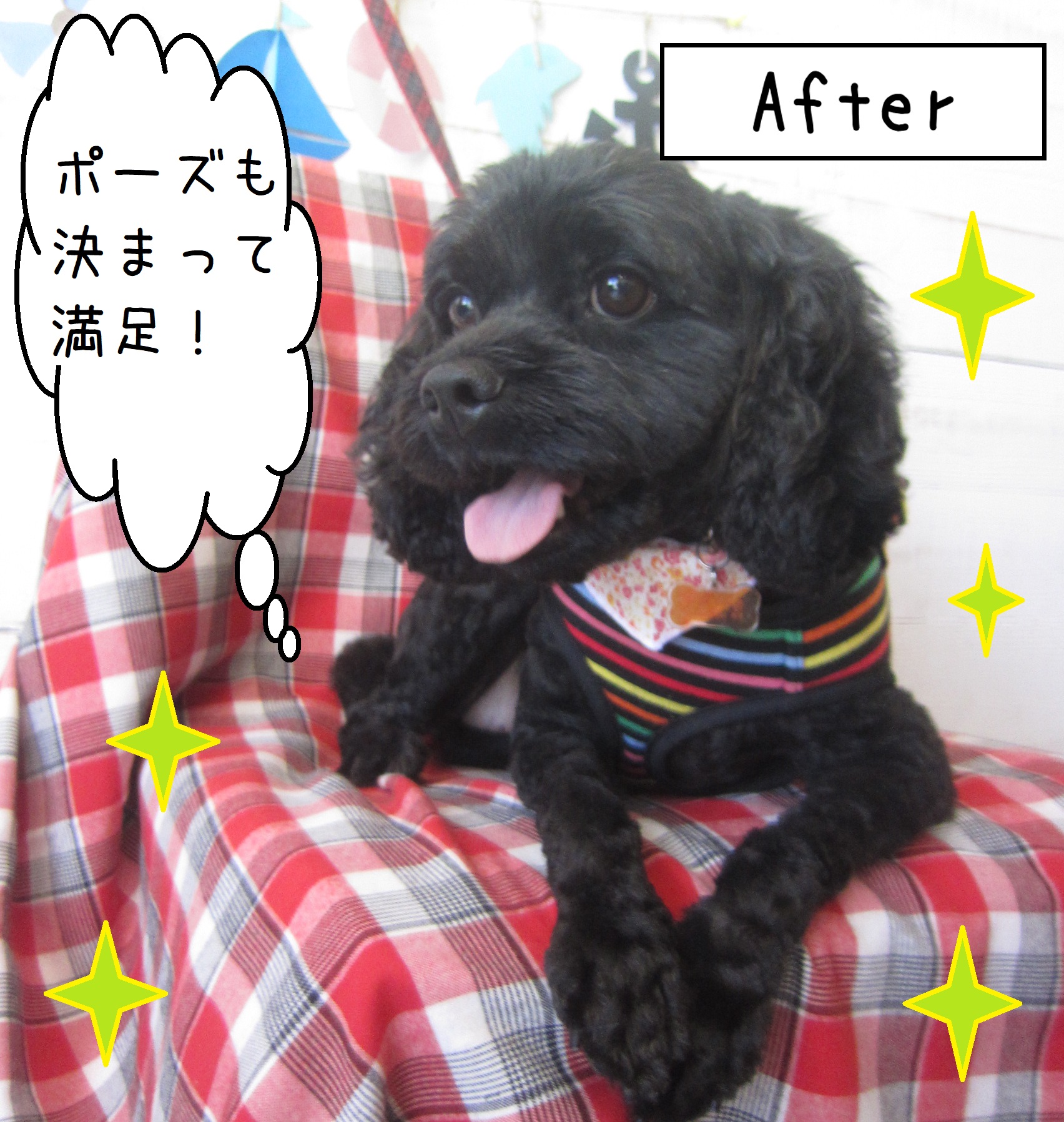 仕上がりミックス