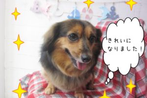 仕上がりミックス