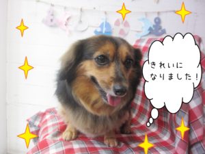 仕上がりミックス