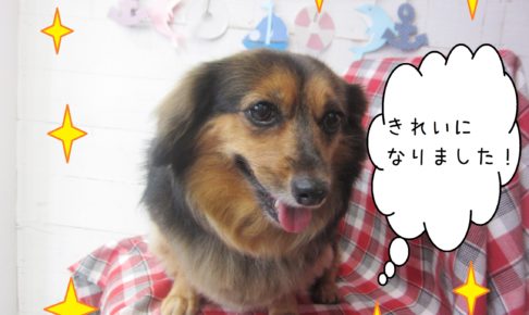 仕上がりミックス