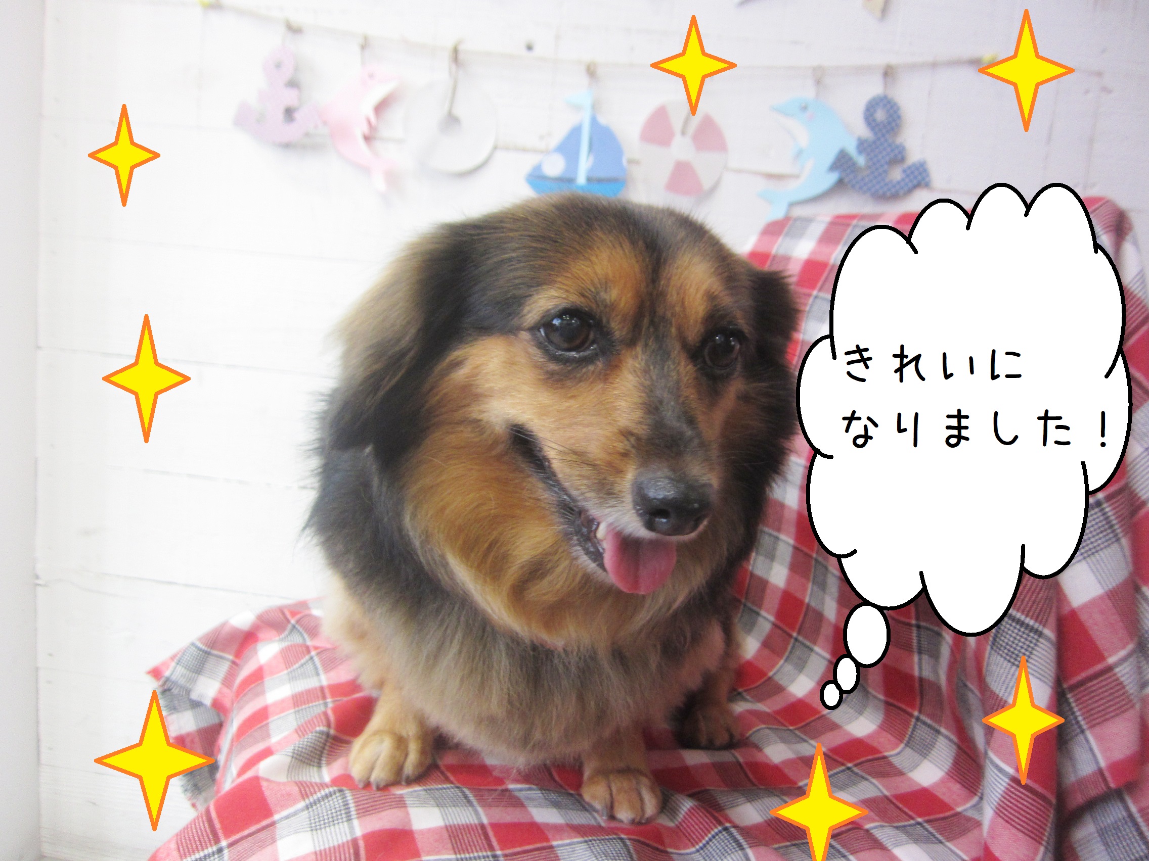 仕上がりミックス