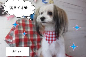 仕上がりミックス