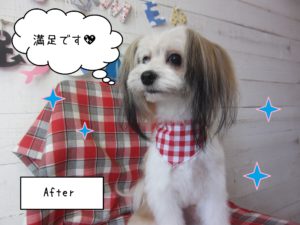 仕上がりミックス