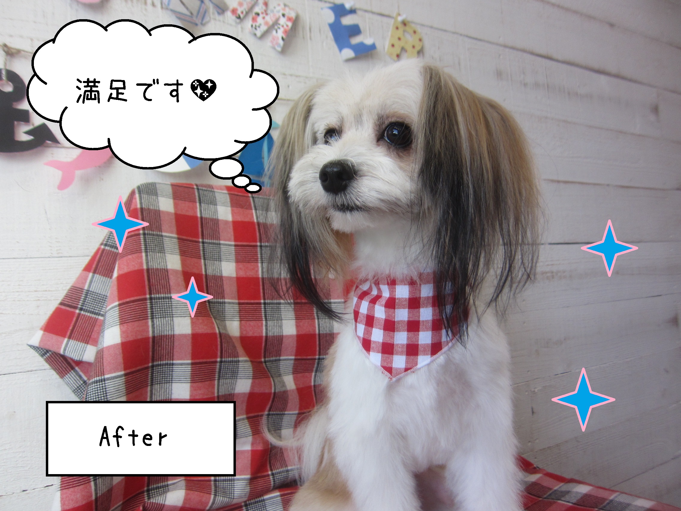 仕上がりミックス