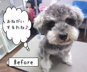 よろしくＭシュナ