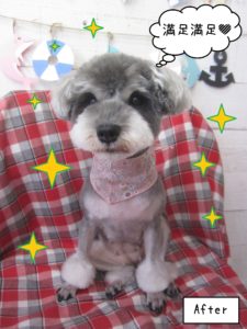 仕上がりＭシュナ