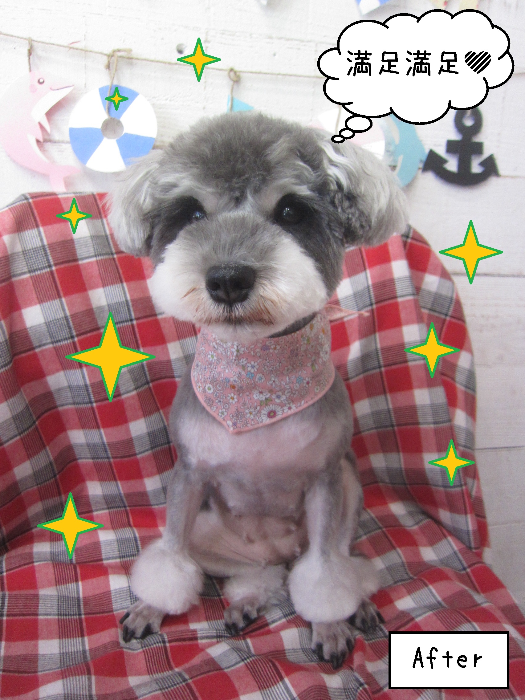 仕上がりＭシュナ