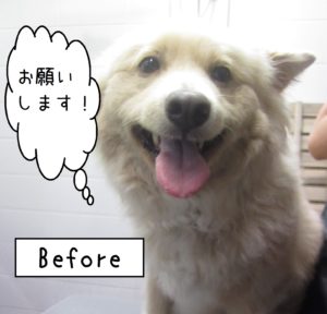 よろしくミックス