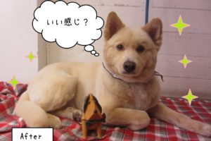 仕上がりミックス