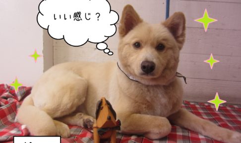 仕上がりミックス