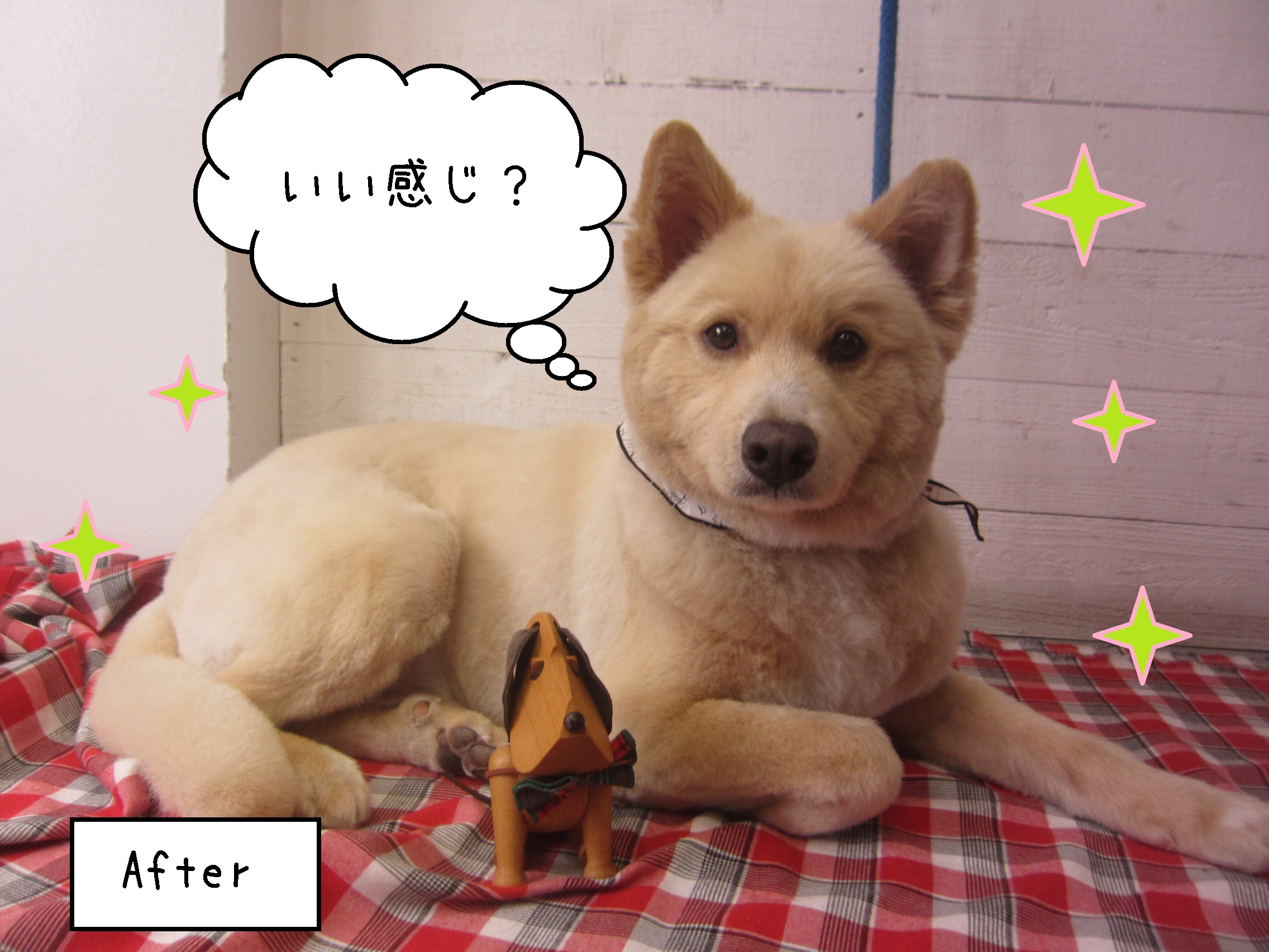 仕上がりミックス