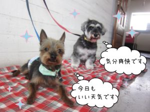 仕上がりコンビ