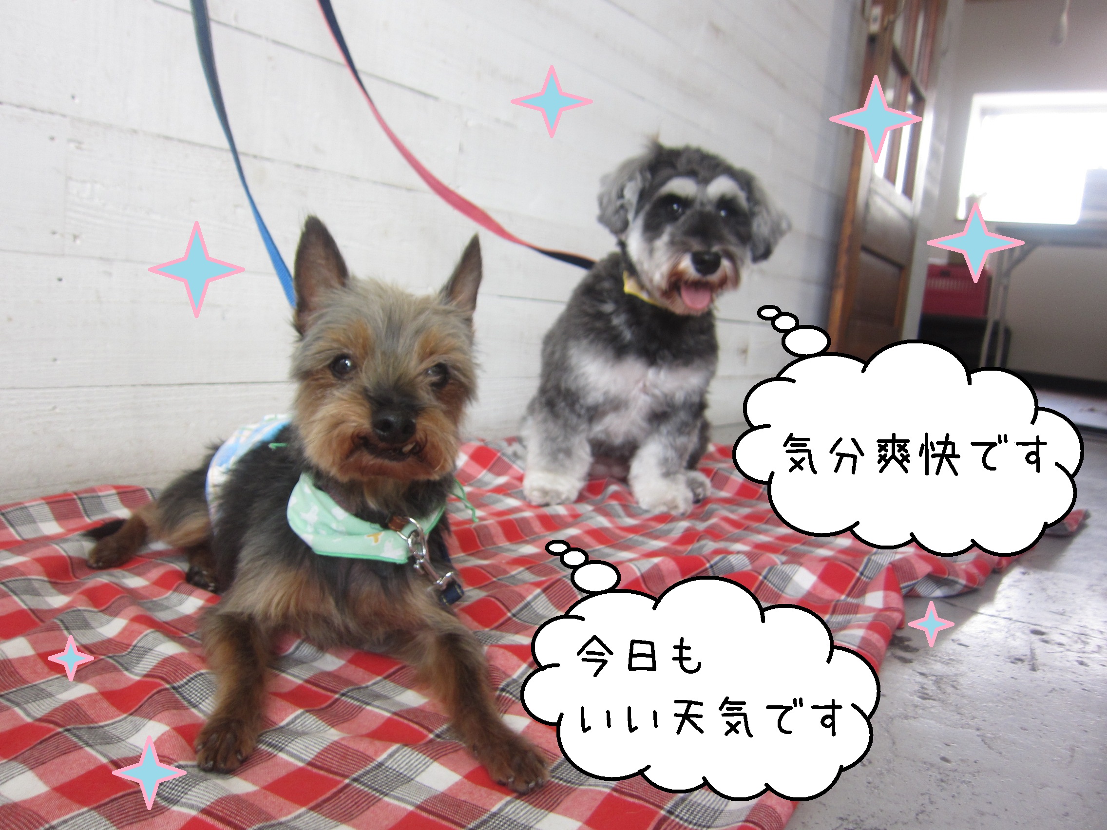 仕上がりコンビ