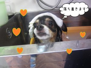 お風呂ミックス