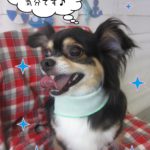 仕上がりミックス