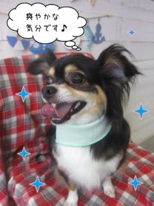 仕上がりミックス