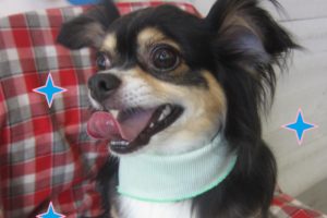 仕上がりミックス