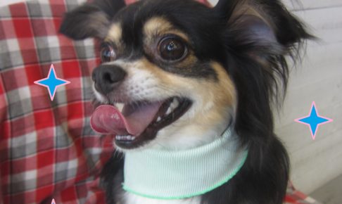 仕上がりミックス