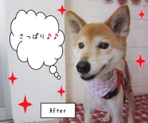 仕上がりミックス