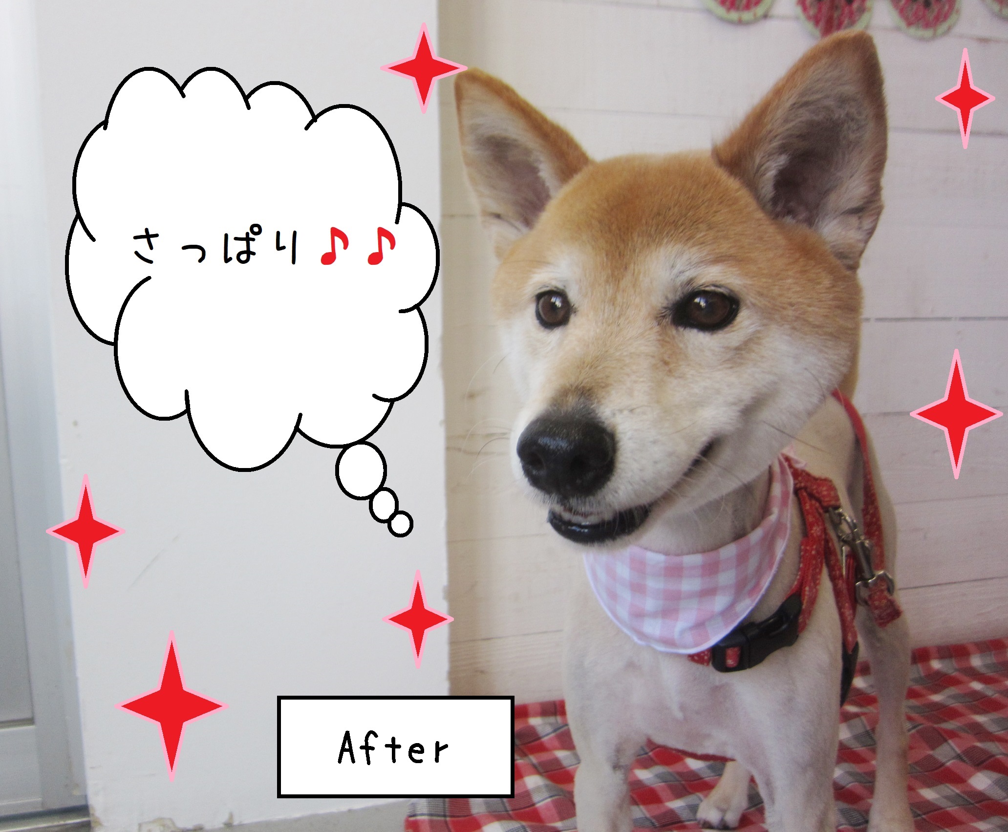 仕上がりミックス