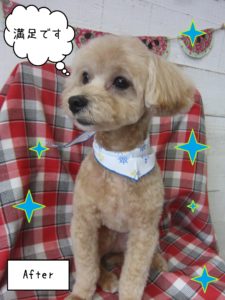 仕上がりミックス