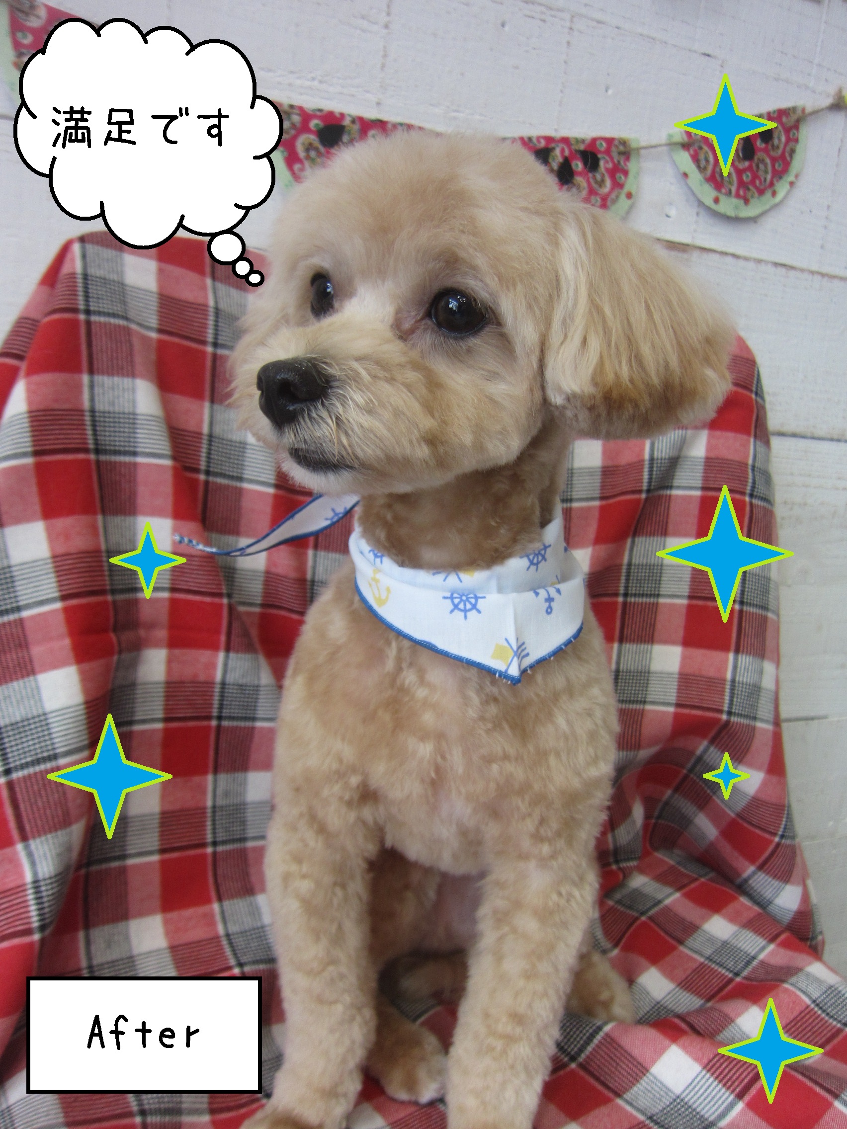 仕上がりミックス