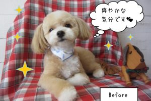 仕上がりミックス