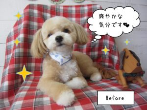 仕上がりミックス