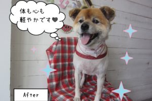 仕上がりミックス