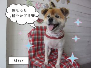 仕上がりミックス