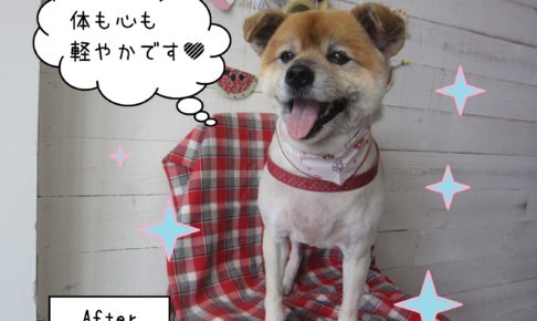 仕上がりミックス