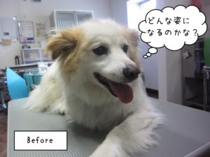 よろしくミックス