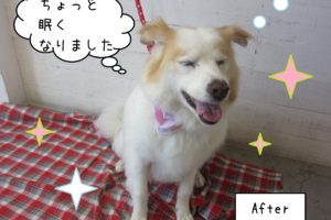 仕上がりミックス