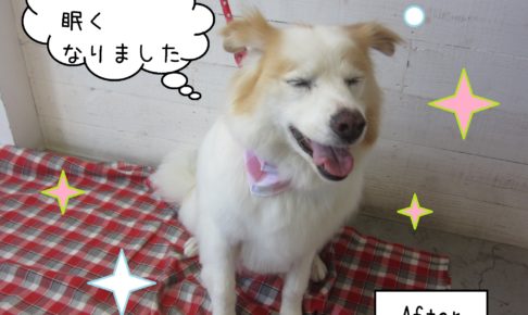 仕上がりミックス