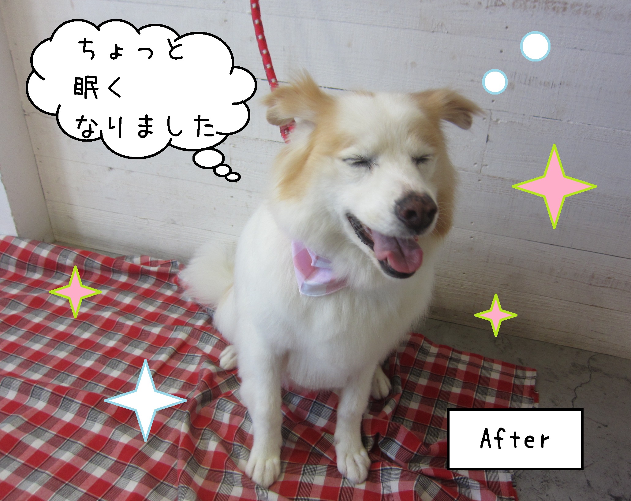 仕上がりミックス