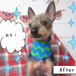 仕上がりミックス