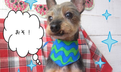 仕上がりミックス