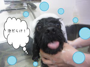 シャンプーミックス