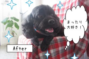 仕上がりミックス